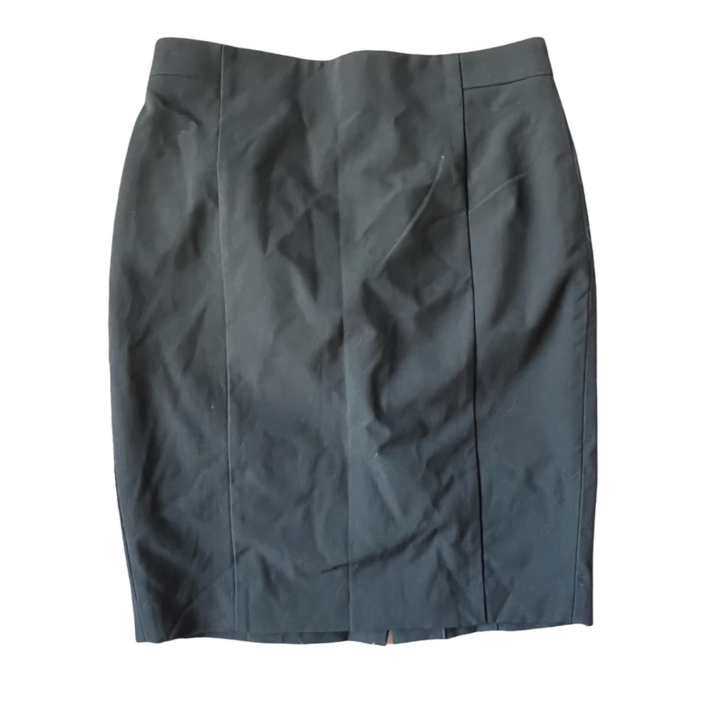 Ann Taylor Skirt
